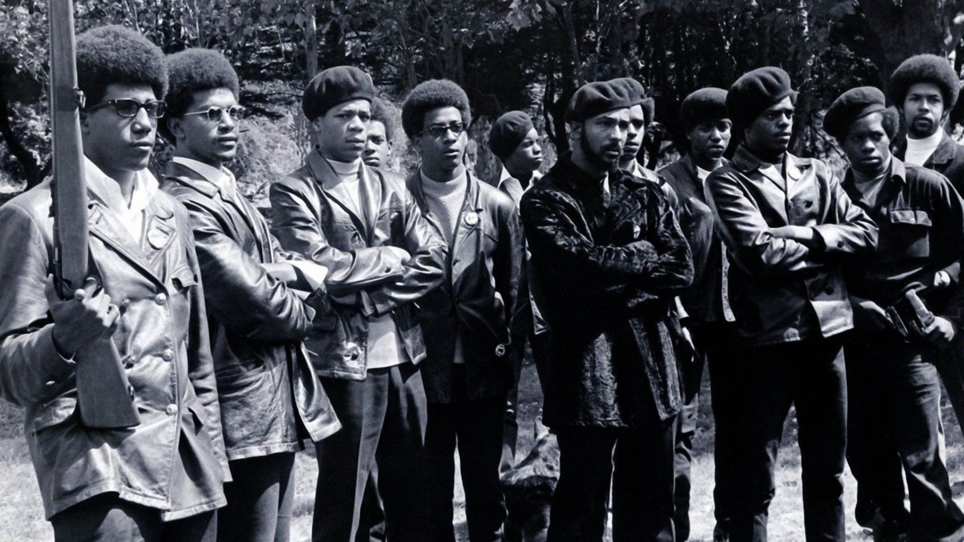 The Black Panthers: Vanguard of the Revolution Backdrop