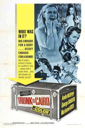  Trunk to Cairo Poster