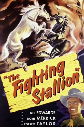  The Fighting Stallion Poster