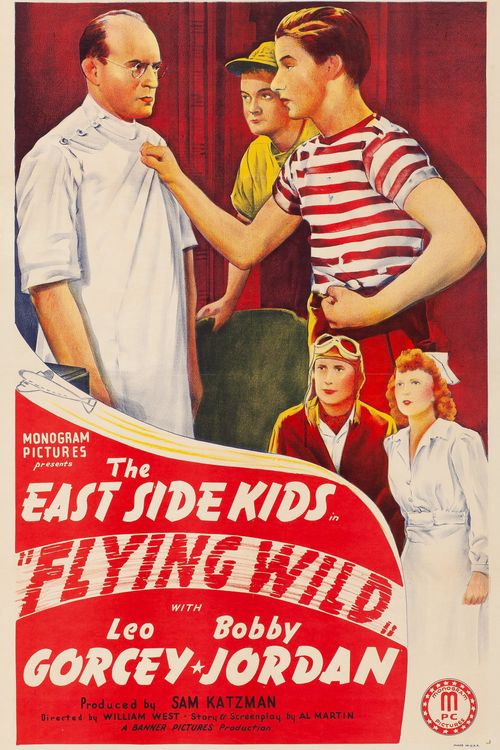 Flying Wild Poster