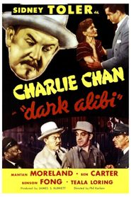  Dark Alibi Poster