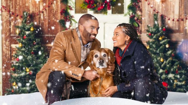 A Christmas Stray Backdrop