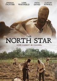  The North Star Poster