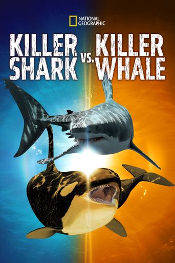  Killer Shark vs. Killer Whale Poster