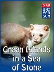 Grüne Inseln im steinernen Meer Poster