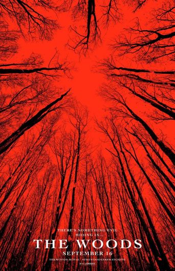 Neverending Night: The Making of Blair Witch Poster