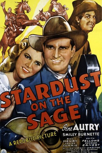  Stardust on the Sage Poster