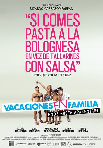  Family Holiday Poster