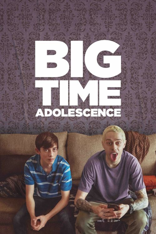 Big Time Adolescence Poster