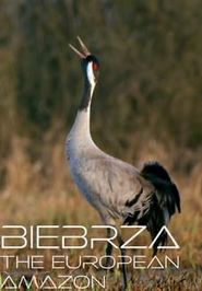  Biebrza: The European Amazon Poster