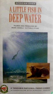  A Little Fish in Deep Water Poster