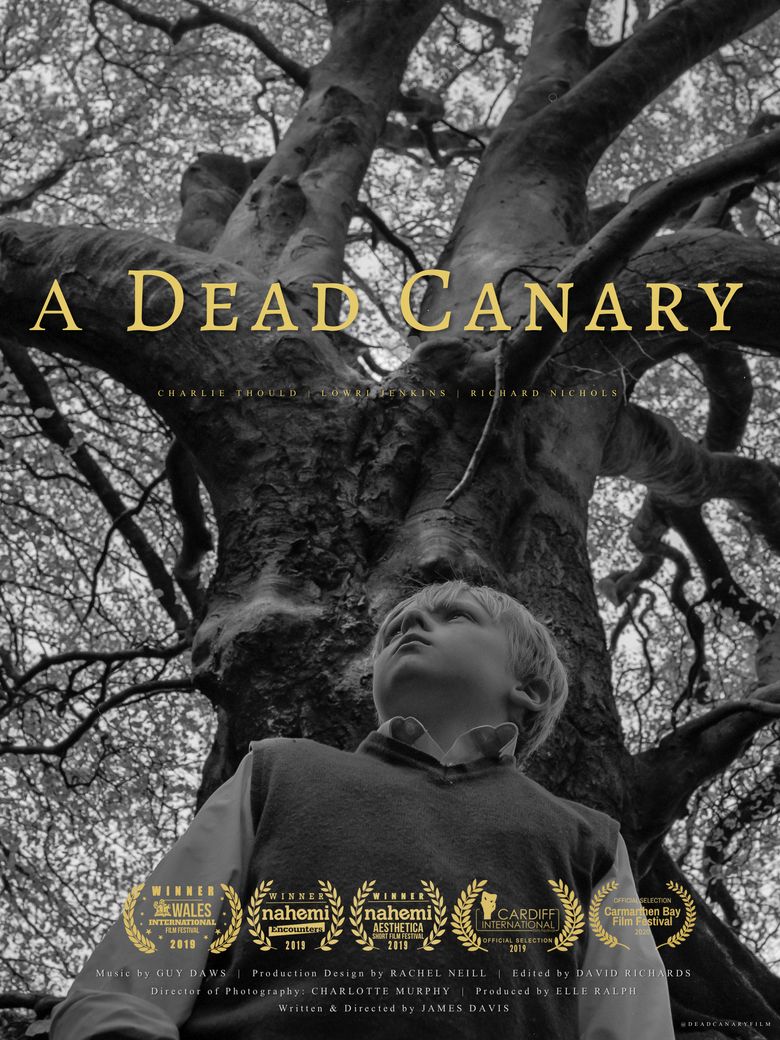 A Dead Canary Poster