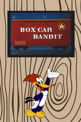  Box Car Bandit Poster
