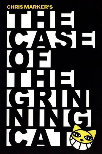  The Case of the Grinning Cat Poster
