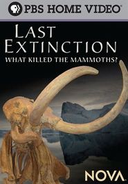  Last Extinction Poster