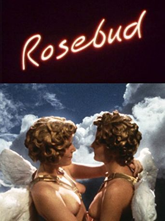  Rosebud Poster