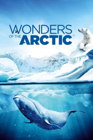  Wonders of the Arctic 3D Poster