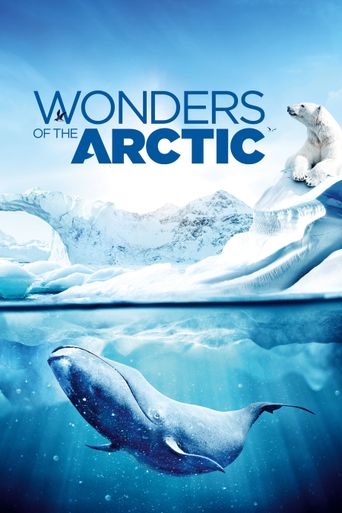  Wonders of the Arctic Poster