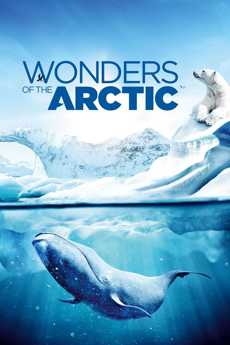 Wonders of the Arctic 3D