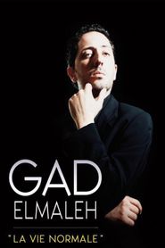  Gad Elmaleh - La vie normale Poster