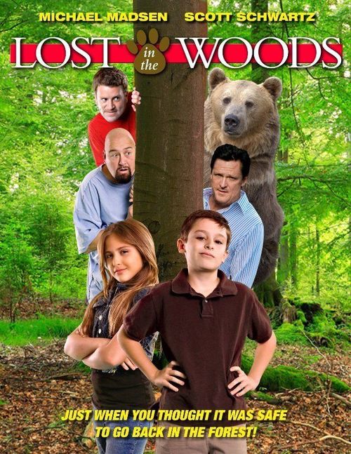 Lost in the woods Poster