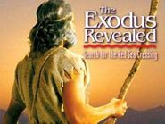 The Exodus Revealed Poster