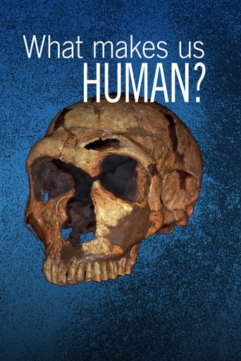 WHAT MAKES US HUMAN 11 IMPORTANT FEATURES visual data 7