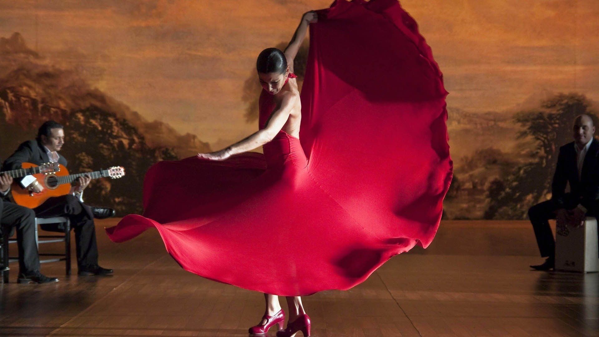 Flamenco Flamenco Backdrop