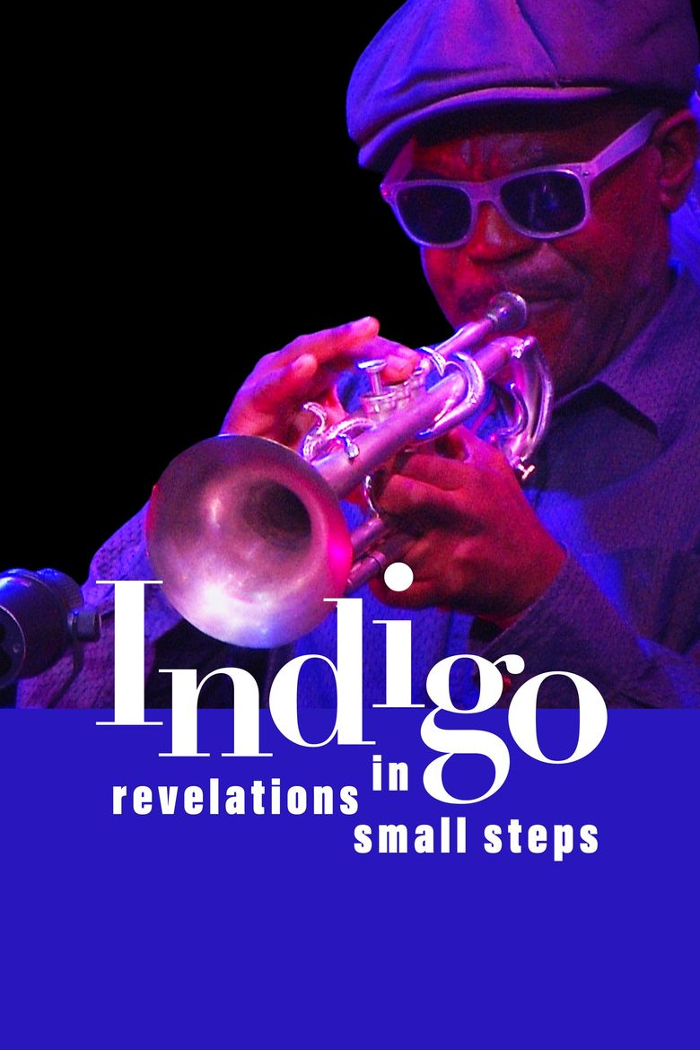 Indigo - Revelations in Small Steps