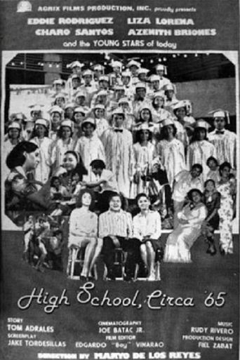  High School Circa '65 Poster