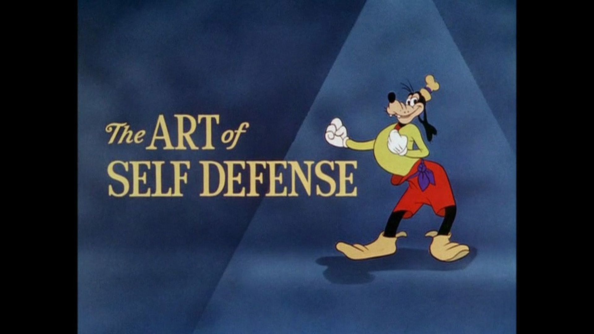 The Art of Self Defense Backdrop