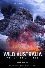  After the Wildfires Poster