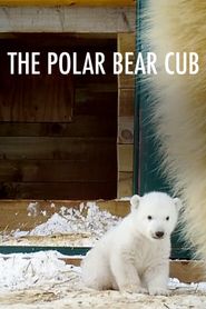 Britain's Polar Bear Cub Poster