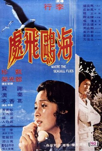  Where the Seagull Flies Poster