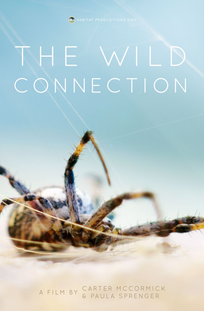 The Wild Connection