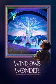  Windows of Wonder Inside the Disney 100 Myer Christmas Windows Poster