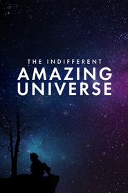  The Indifferent Amazing Universe Poster