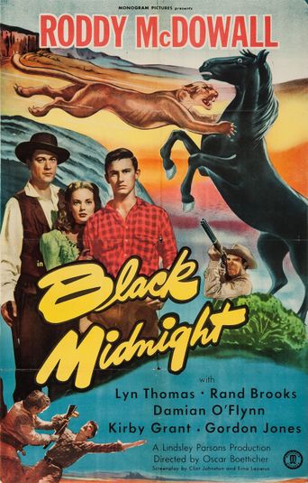  Black Midnight Poster