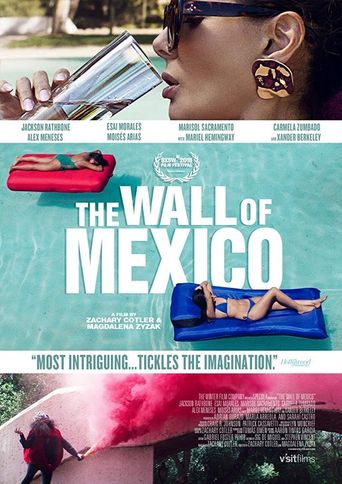  The Wall of Mexico Poster
