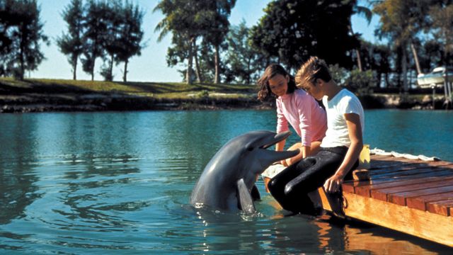 Flipper's New Adventure Backdrop
