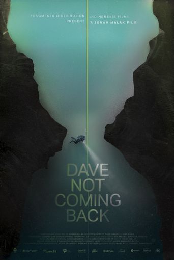  Dave Not Coming Back Poster