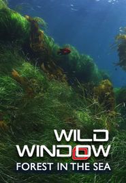  Wild Window: Forests of the Sea Poster