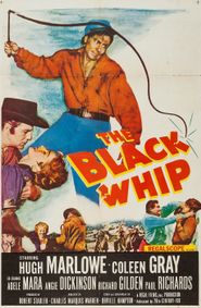  The Black Whip Poster