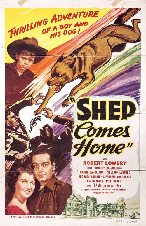 Shep Comes Home Poster