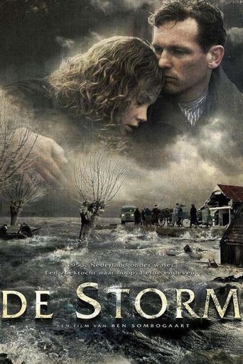  The Storm Poster
