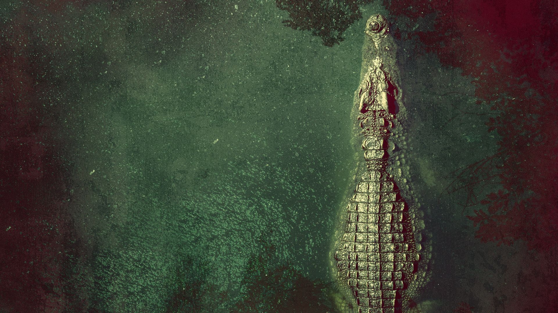 Crocodile Backdrop