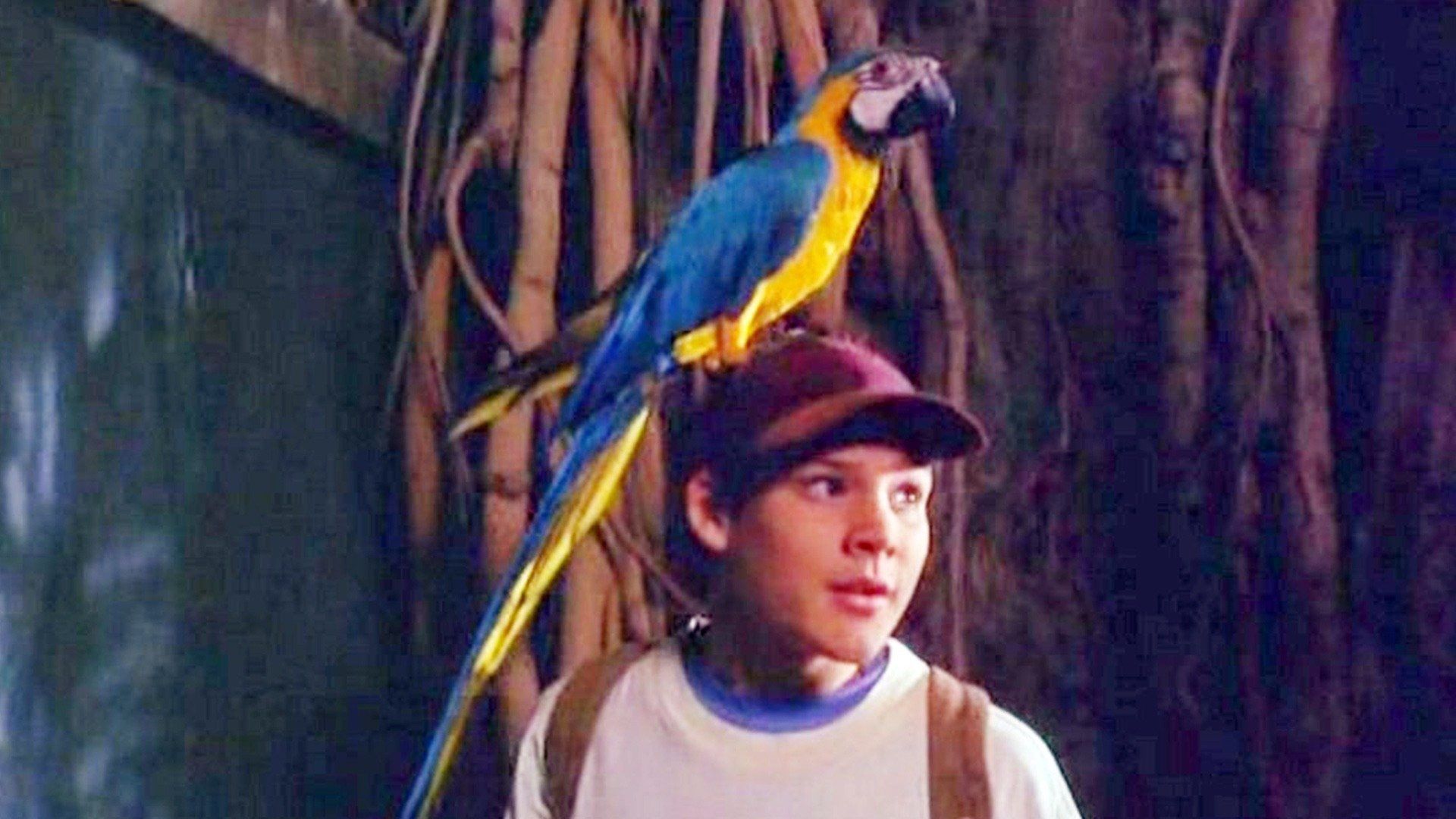 The Real Macaw Backdrop