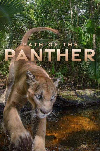  Path of the Panther Poster