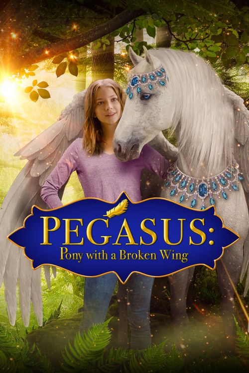 Pegasus: Pony with a Broken Wing Poster