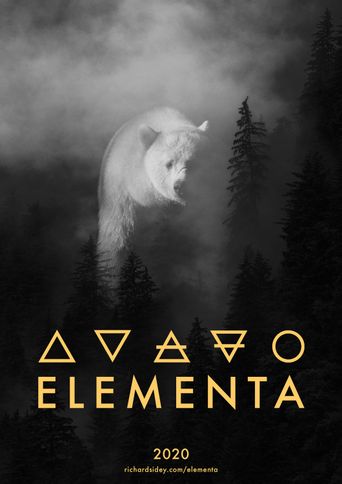  Elementa Poster